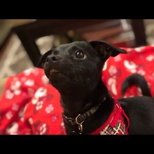 Meet your Posher, Catherine